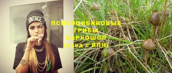 герыч Арсеньев