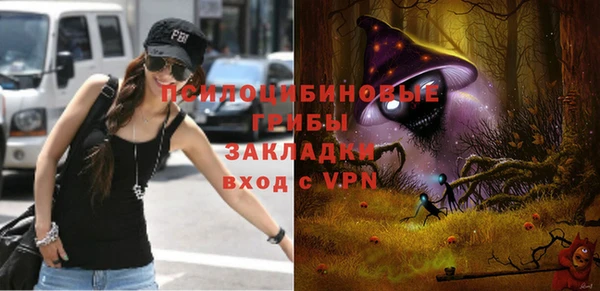 герыч Арсеньев