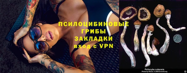 мяу мяу мука Аркадак