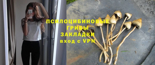 мяу мяу мука Аркадак