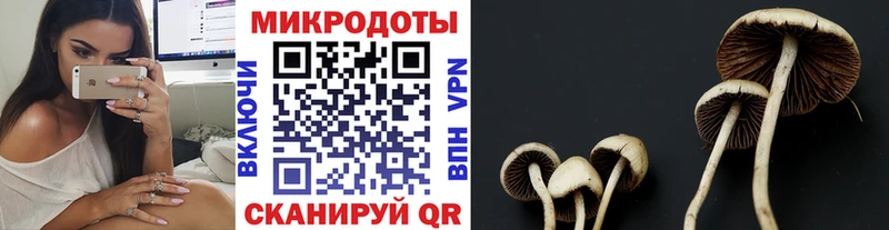закладка  Лебедянь  Галлюциногенные грибы MAGIC MUSHROOMS 
